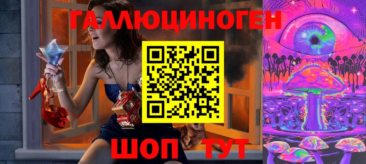 Торжок  Псилоцибиновые грибы Psilocybine cubensis  Вход с VPN 